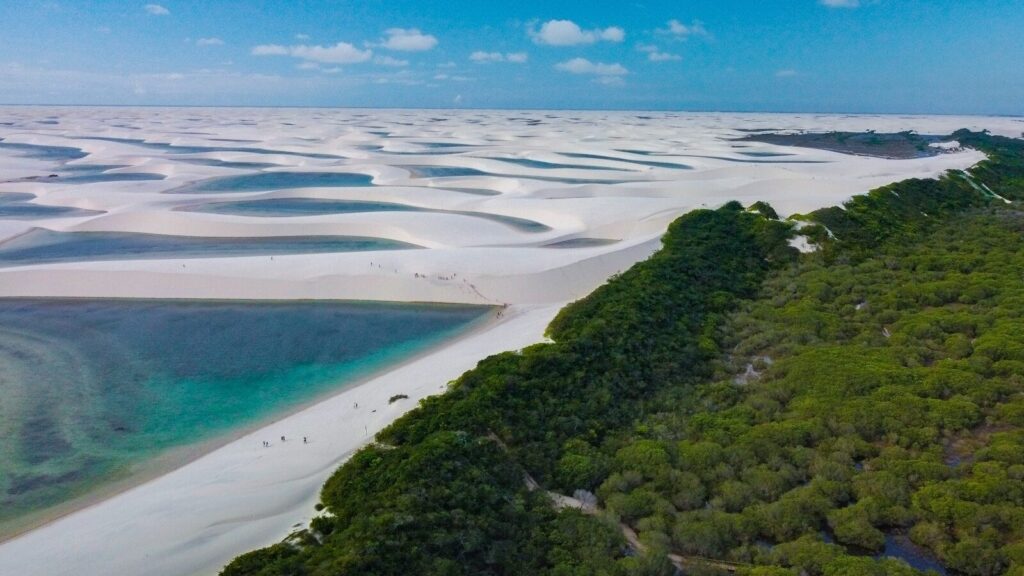 an aerial view of a sandy beach surrounded by trees