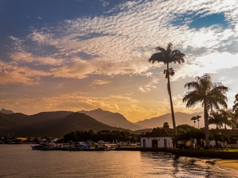 a body of water lined with palm trees and buildings