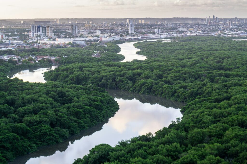 Aerial view of a river running through Recife, by thiago japyassu
