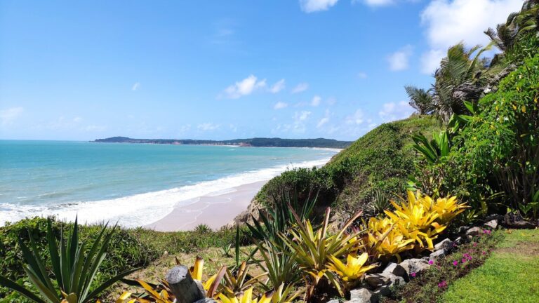 view of a beach from a hill overlooking the ocean