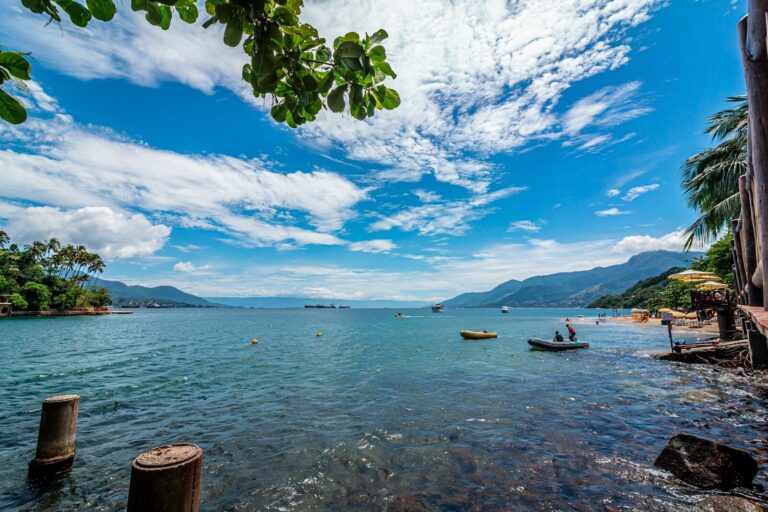 people on beach during daytime