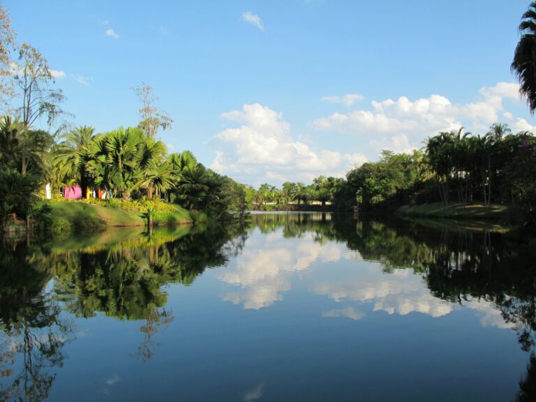Lake and gardens at Inhotim, Brumadinho, by Carolina Munemasa