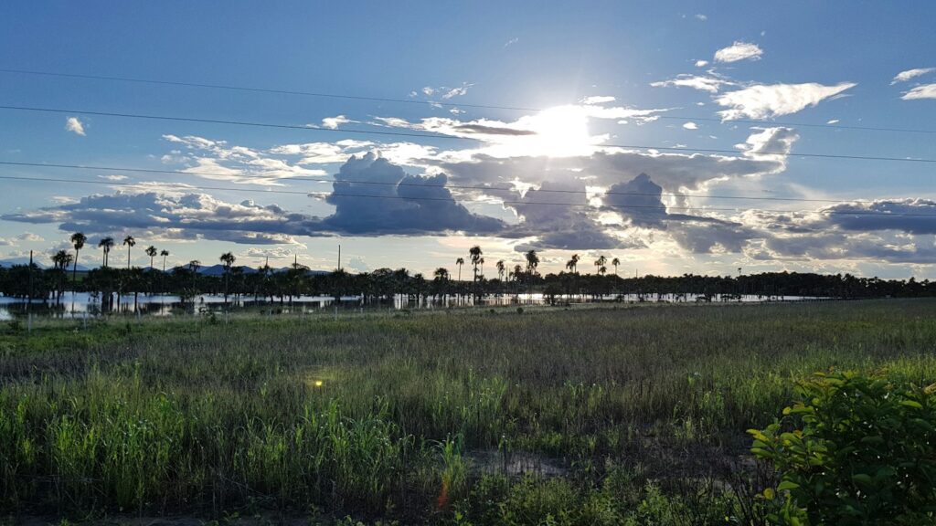 Open Lavrado grassland along the BR-174 in the municipality of Boa Vista, by Dieny Portinanni