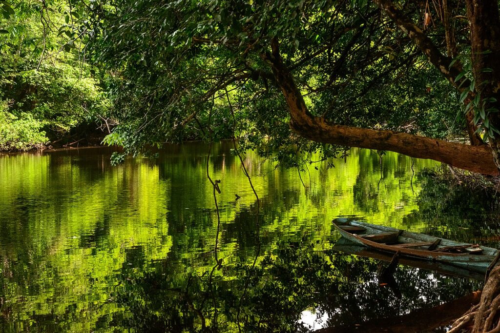 Igarap&eacute; do Rego, a creek inside Cabo Orange National Park, Amap&aacute;