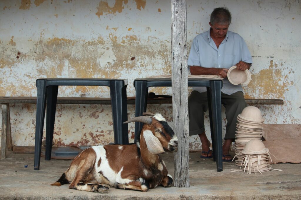 Goat leather workshop making the traditional Nordeste hat in Cabaceiras, Para&iacute;ba, by R&ecirc; Oliveira