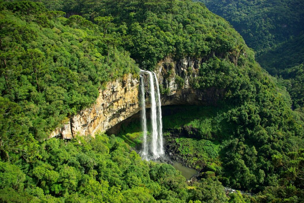 The Cascata do Caracol in its forested valley, Caracol State Park, Canela, by Tiago Fioreze
