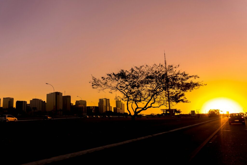 Cerrado trees silhouetted at sunset in Bras&iacute;lia, by Daniel Costa