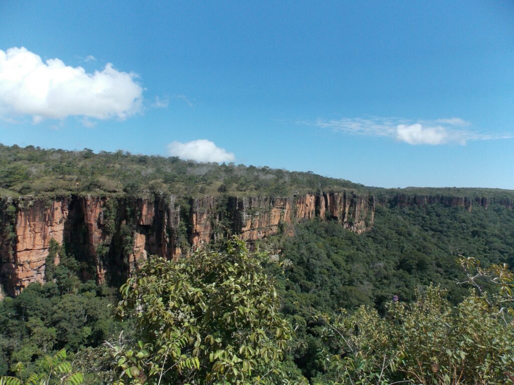 Sandstone cliffs and cerrado vegetation at Chapada dos Guimar&atilde;es, by Guilherme von Natur