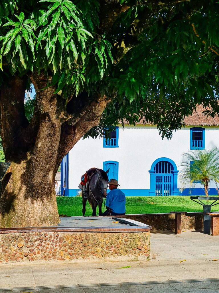 A cattle drover with his horse on the main square of Chapada dos Guimar&atilde;es, by Bruna Barros