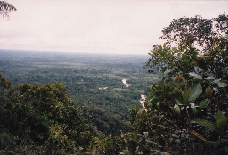 Aerial view of the rainforest of Serra do Divisor National Park, Acre