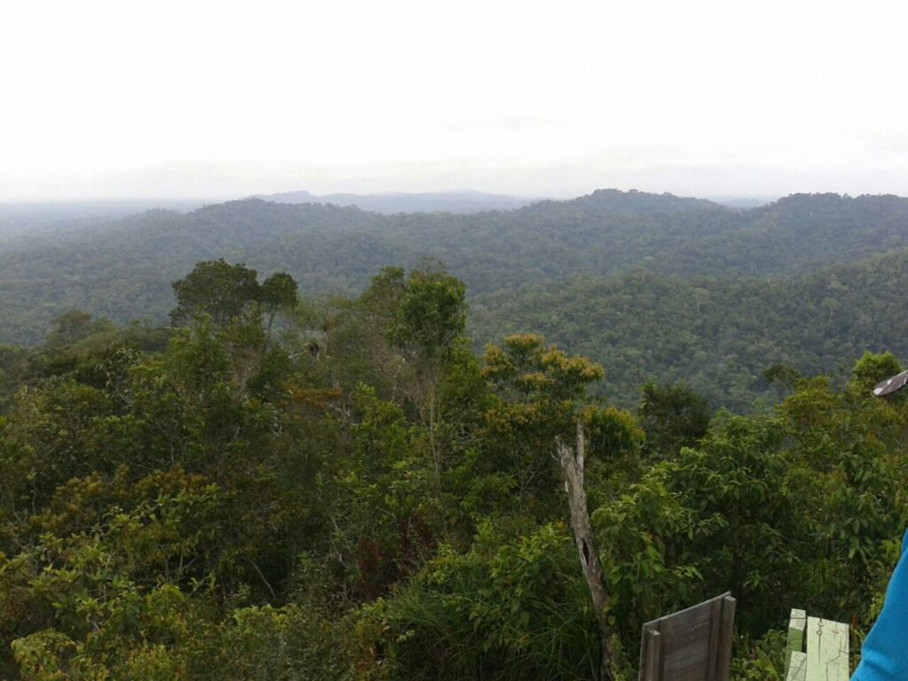 Forested ridges of the Serra do Divisor, Acre