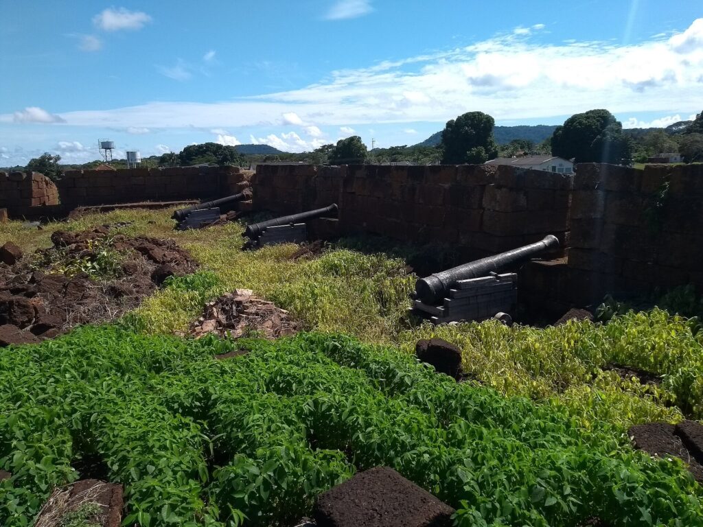 Cannons of the Real Forte Pr&iacute;ncipe da Beira, Rond&ocirc;nia