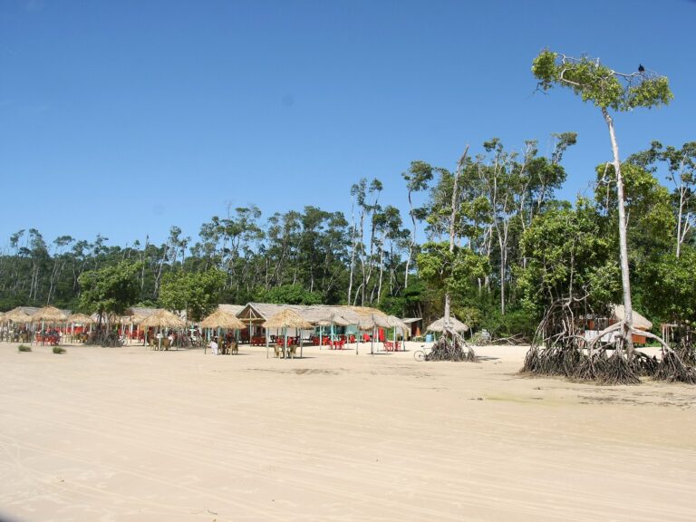 Praia da Barra Velha in Soure, Ilha de Marajó, Pará