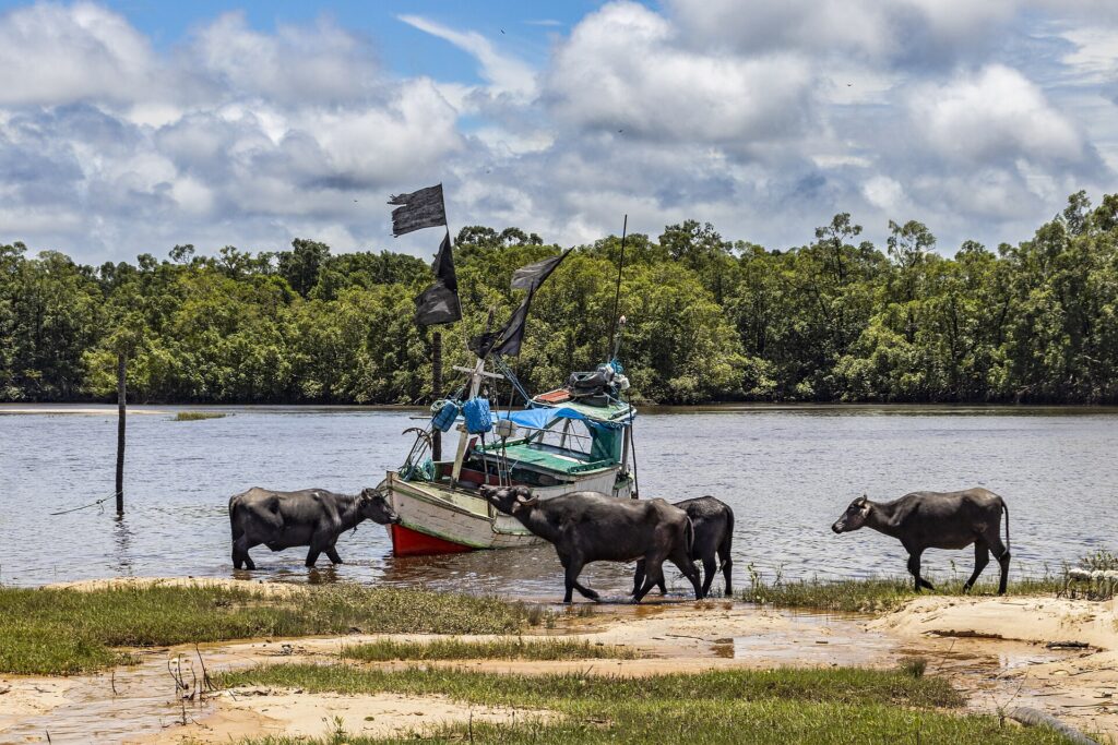 Landscape of the Maraj&oacute; Archipelago Environmental Protection Area, Par&aacute;