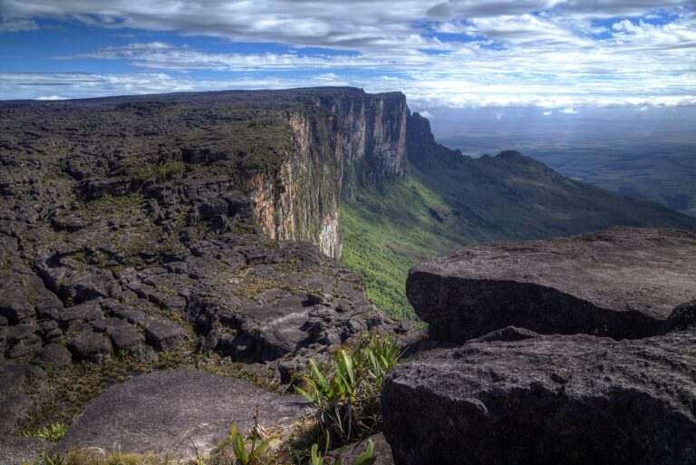 The summit plateau of Mount Roraima
