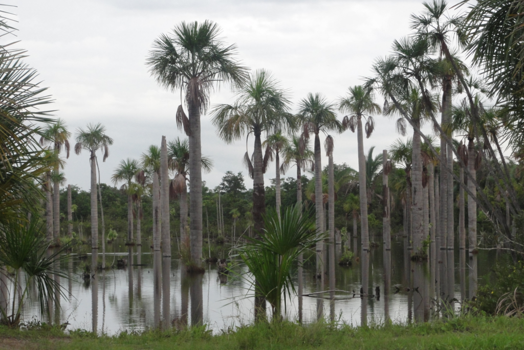 Recanto das Araras in Nobres, Mato Grosso