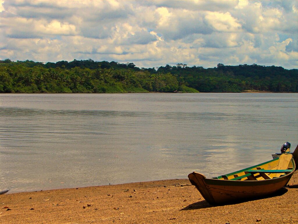 Coastal landscape of Cabo Orange National Park, Amap&aacute;
