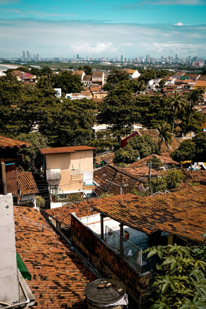 Tile-roofed houses among the trees of Olinda, by Jos&eacute; Ribamar