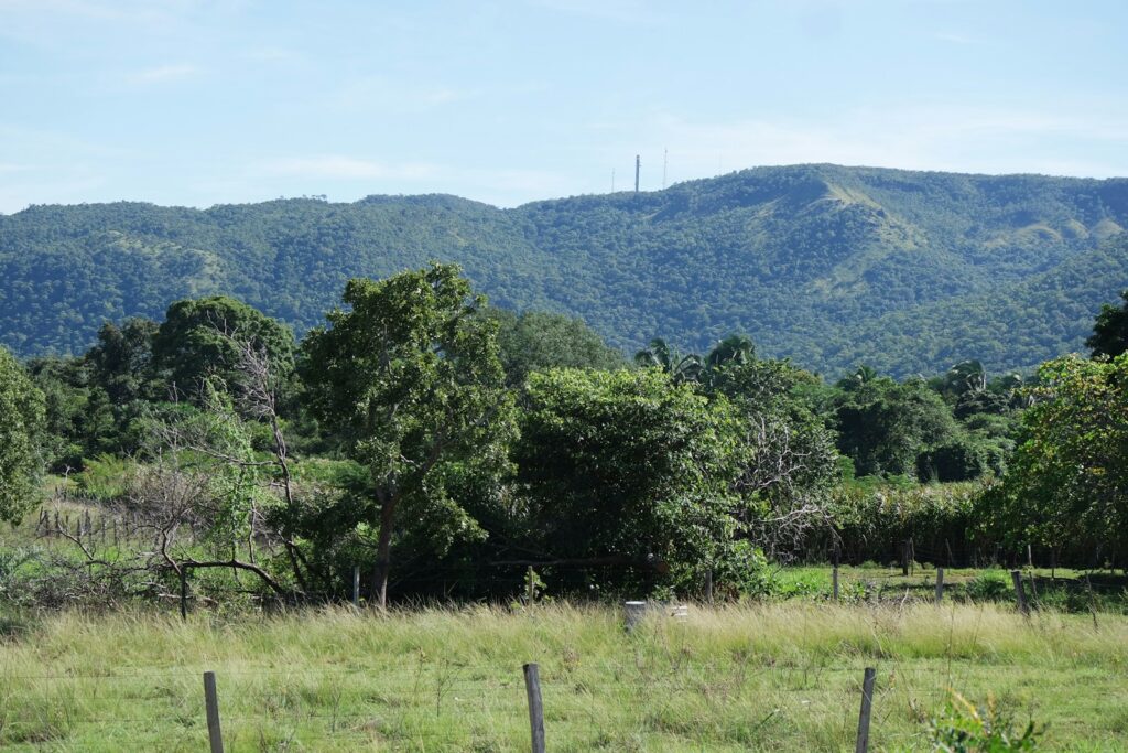 Taquaruçu