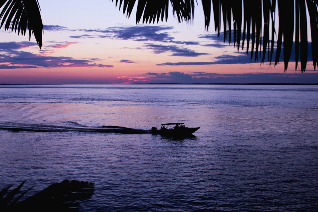 Boats and palm trees silhouetted at dusk on the Amazon waterfront in Parintins, by Nayani Teixeira
