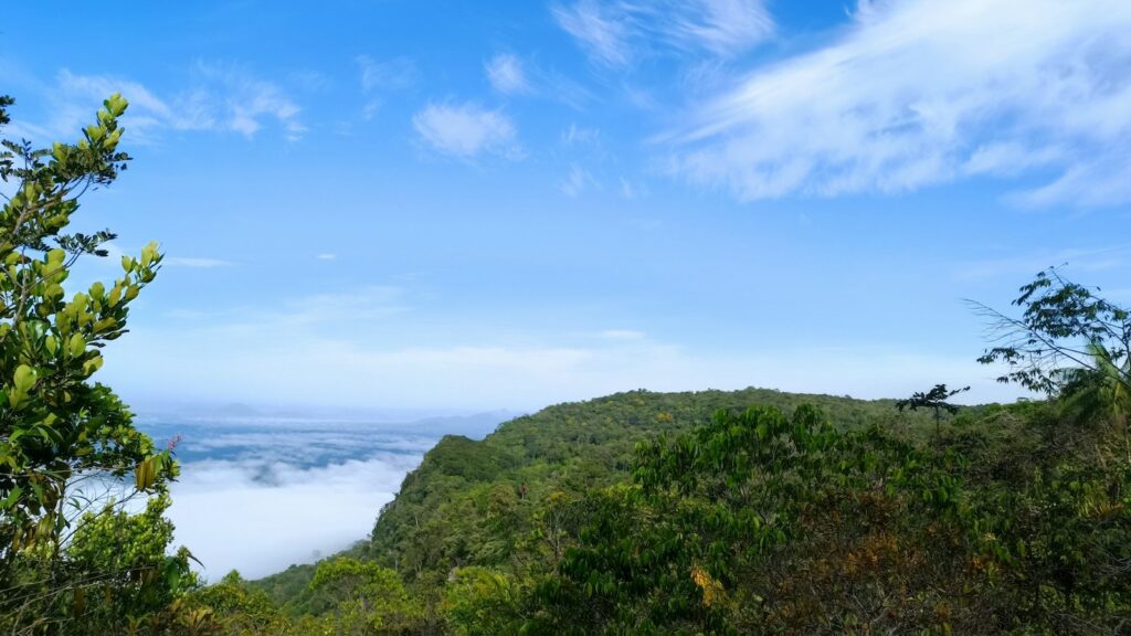 Forested hills in the Tepequ&eacute;m and Amajari area of northern Roraima, by Dieny Portinanni