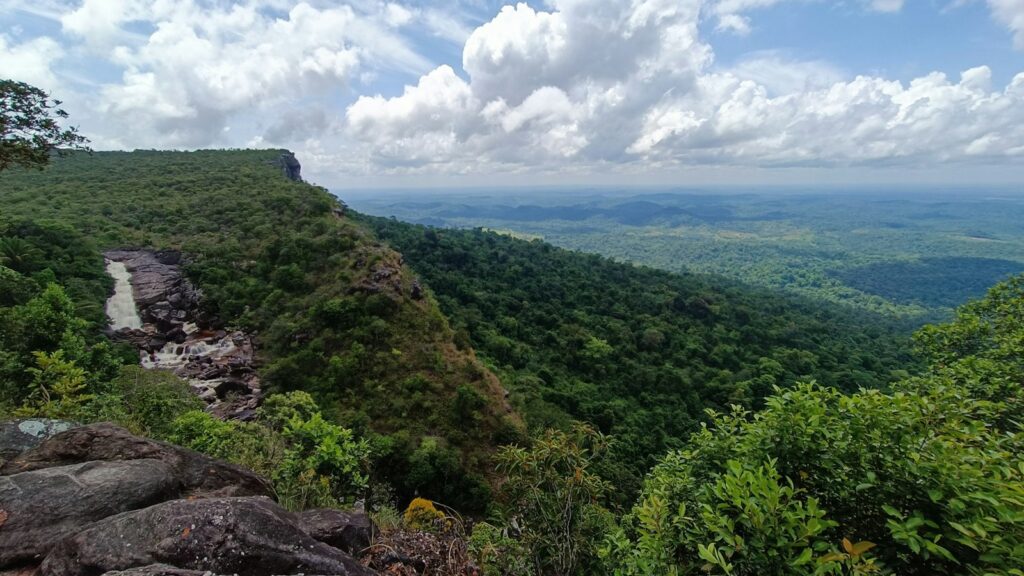 Rocks and savanna vegetation in the Tepequ&eacute;m and Amajari area, Roraima, by Dieny Portinanni
